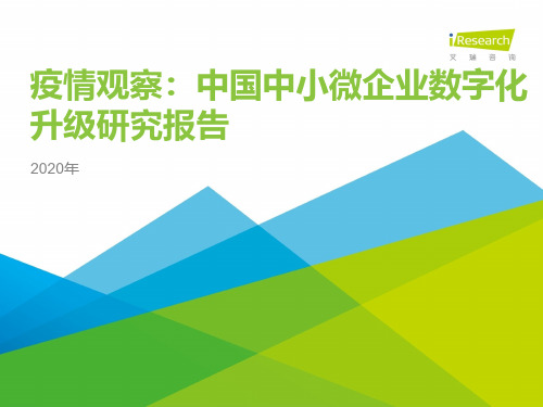 iR--2020年中国中小微企业数字化升级研究报告