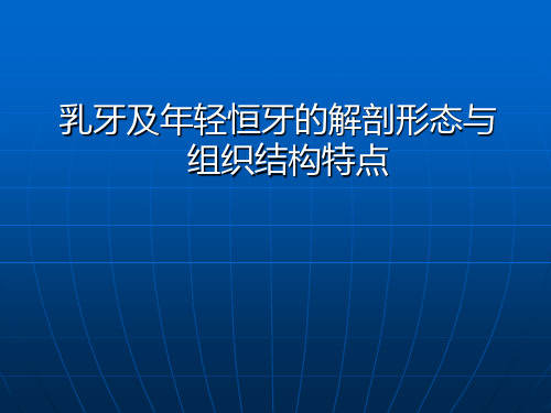 【儿童口腔医学PPT】  乳牙及年轻恒牙的解剖形态与组织结构特点 (2)