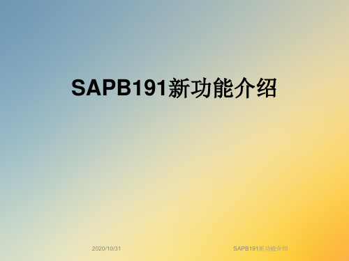 SAPB191新功能介绍