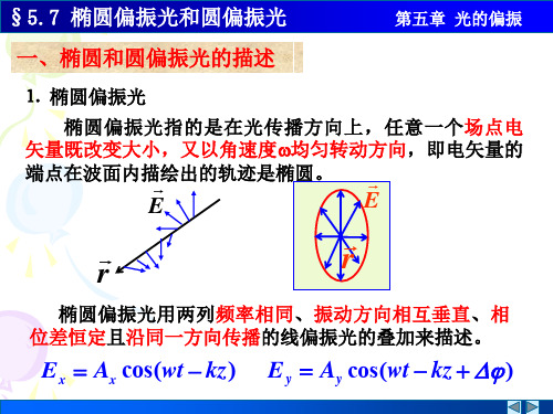 第5章光的偏振(第3讲)