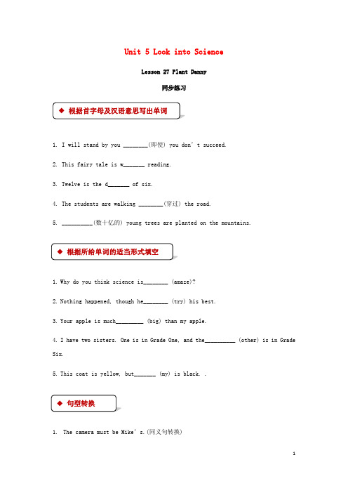 九年级英语上册Unit5LookintoScienceLesson27PlanetDanny同步练习新版冀教版