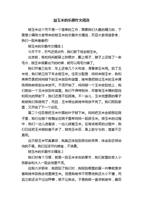 掰玉米的乐趣作文精选