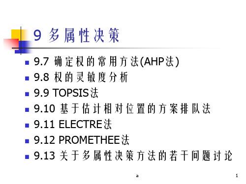 《多属性决策》PPT课件