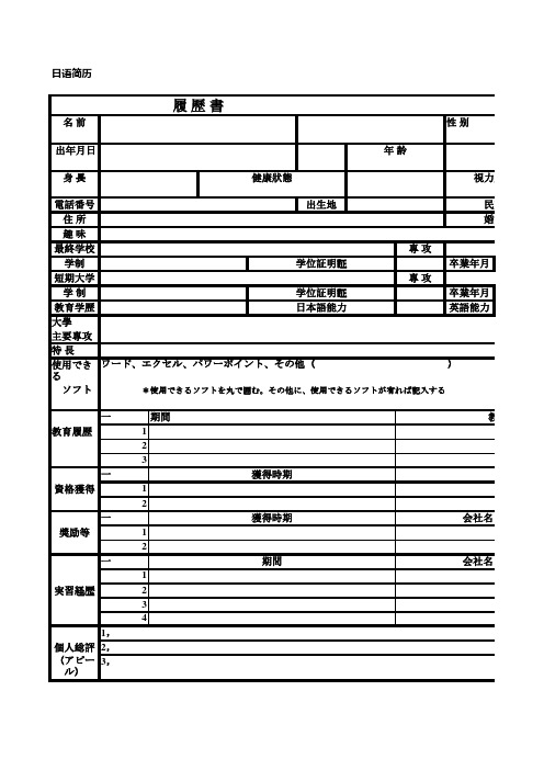 Excel 日语简历