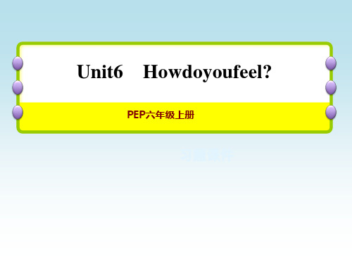 人教PEP版六年级英语上册Unit 6 单元整理与复习 周末主题素养练(二)