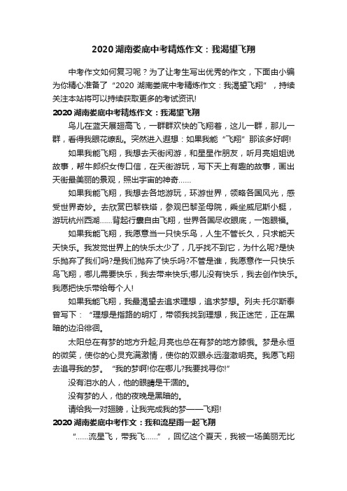 2020湖南娄底中考精炼作文：我渴望飞翔