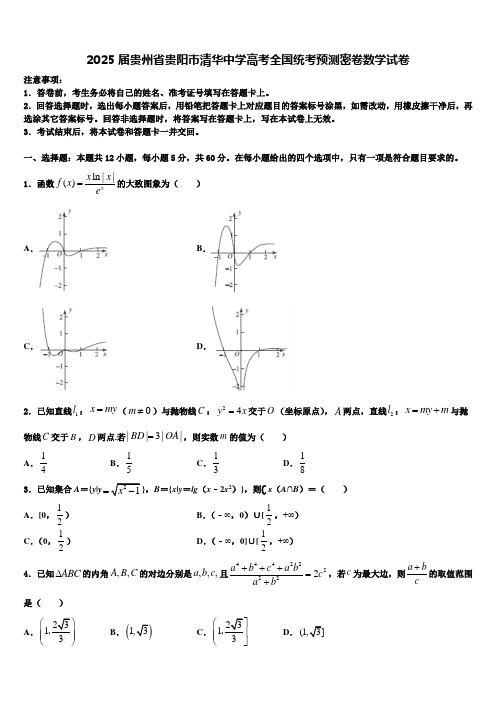 2025届贵州省贵阳市清华中学高考全国统考预测密卷数学试卷含解析