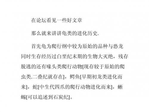 你们都知道龟类进化历史吗?
