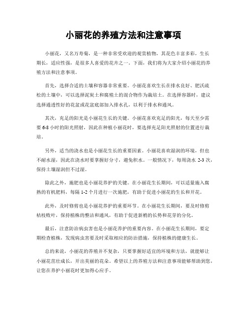 小丽花的养殖方法和注意事项