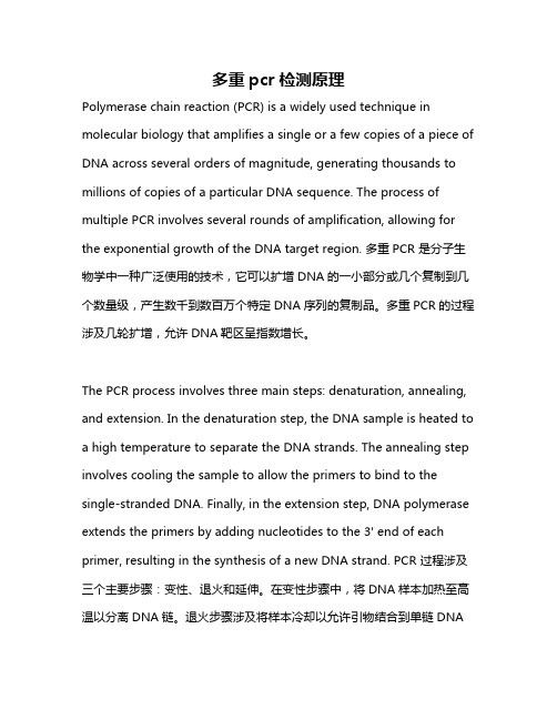 多重pcr检测原理