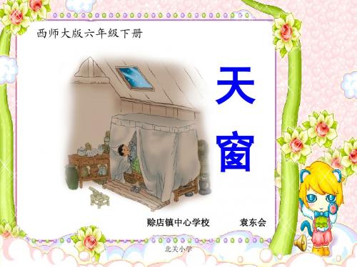 西师大六年级下册语文第20课《天窗》