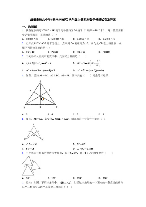 成都市棕北中学(桐梓林校区)八年级上册期末数学模拟试卷及答案