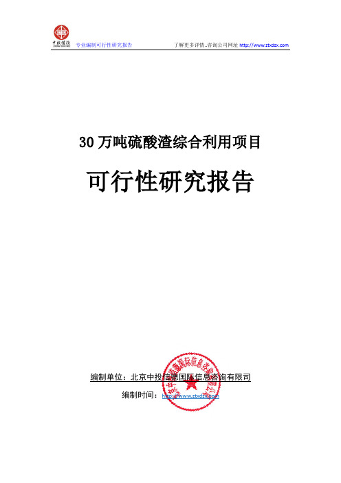 30万吨硫酸渣综合利用项目可行性研究报告