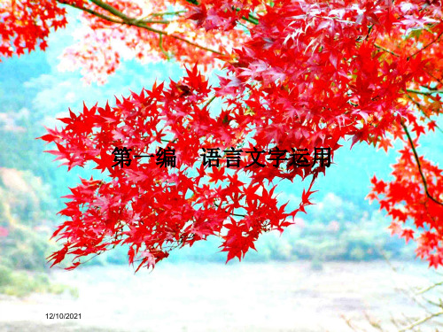 高考语文二轮复习 第一编 语言文字运用 专题一 识记字音,正确书写汉字课件