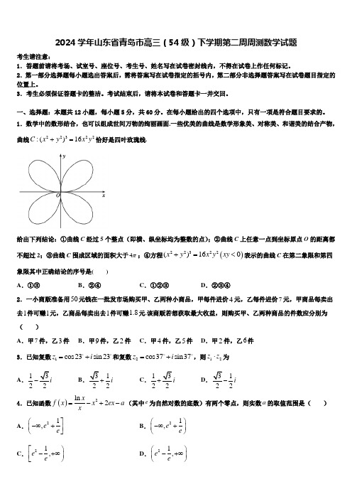 2024学年山东省青岛市高三(54级)下学期第二周周测数学试题