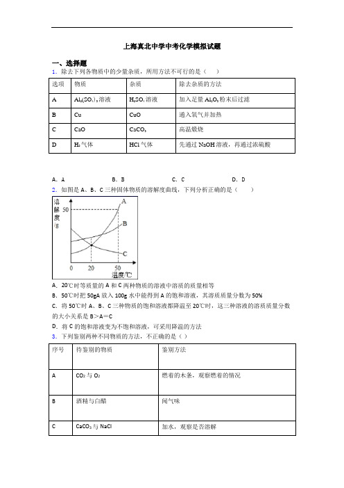 上海真北中学中考化学模拟试题