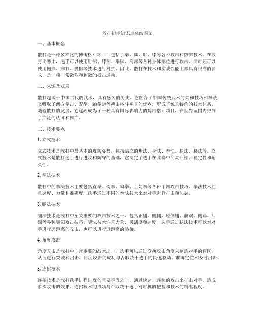 散打初步知识点总结图文