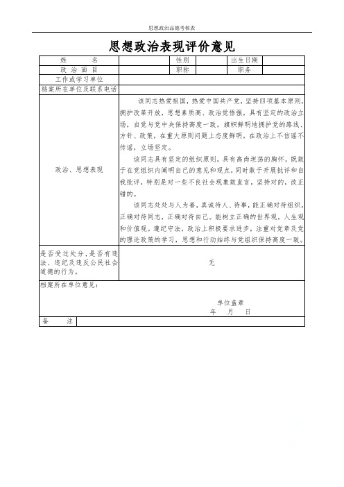 思想政治品德考核表