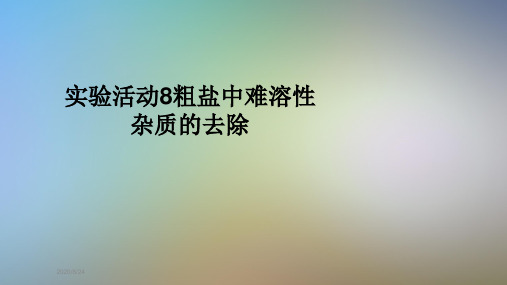 实验活动8粗盐中难溶性杂质的去除