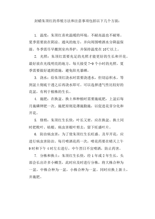 封蜡朱顶红的养殖方法和注意事项