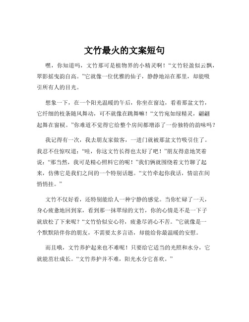 文竹最火的文案短句