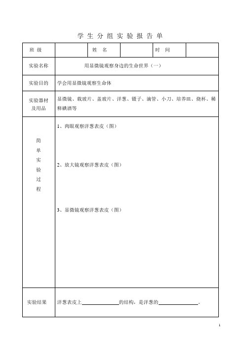 学生分组实验报告单(六年级)