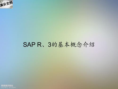 SAP R、3的基本概念介绍
