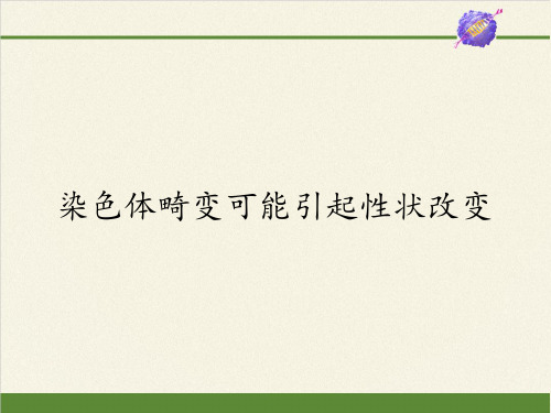 浙教版高中生物必修2-染色体畸变可能引起性状改变-课件