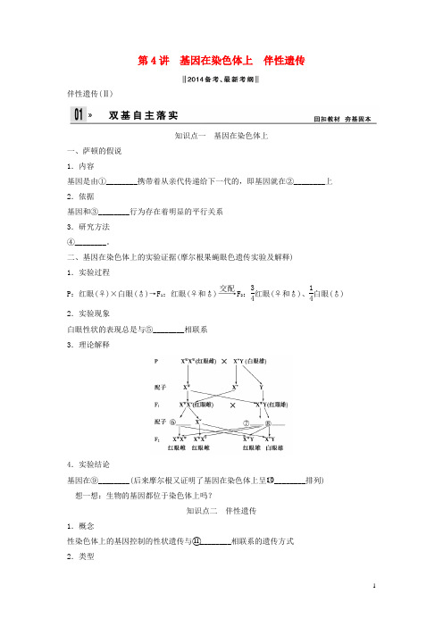 高考生物一轮复习方案 14 基因在染色体上 伴性遗传 新人教版必修2