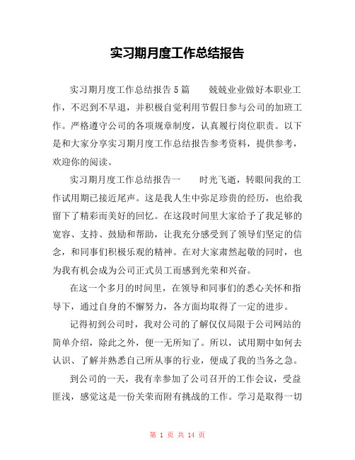 实习期月度工作总结报告