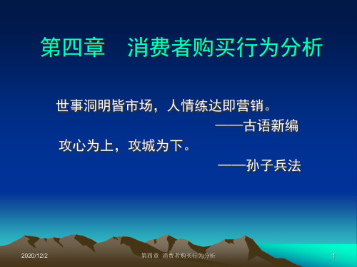 04第四章消费者购买行为分析