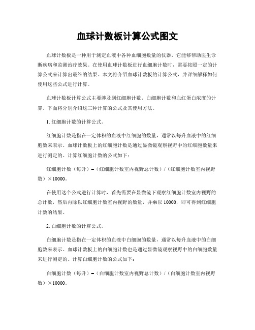 血球计数板计算公式图文