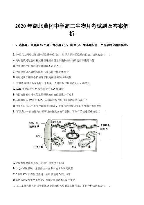 2020年湖北黄冈中学高三生物月考试题及答案解析