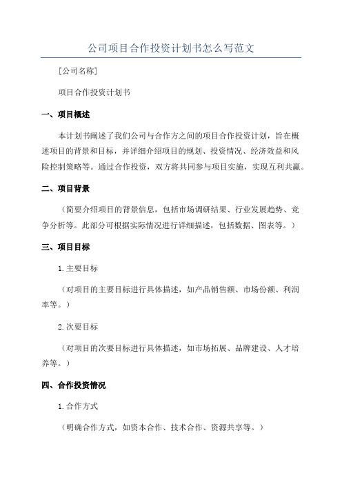 公司项目合作投资计划书怎么写范文