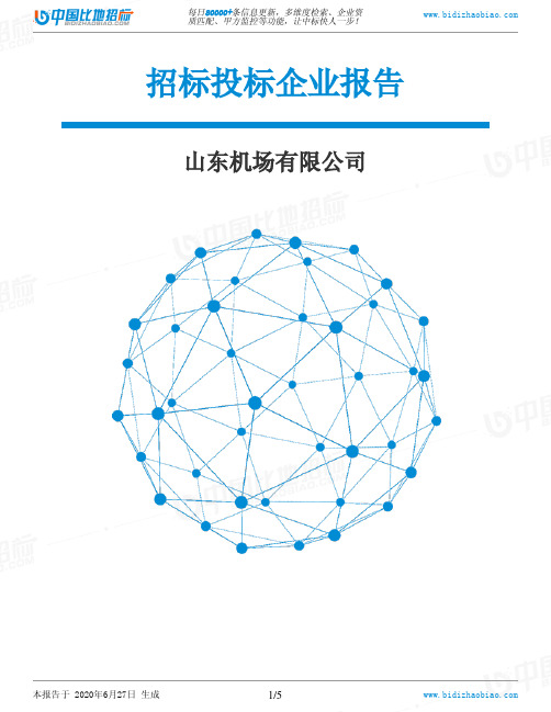 山东机场有限公司-招投标数据分析报告