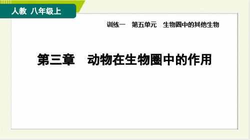 2024年人教版八年级上册生物期末复习训练一 第五单元第三章动物在生物圈中的作用