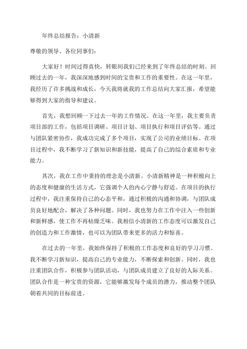 年终总结年终总结汇报报告小清新