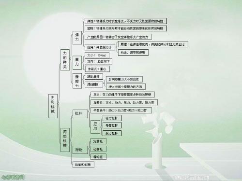 2013中考物理专题培优复习课件-力和机械