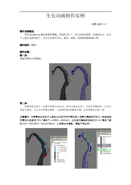 生长动画制作实例