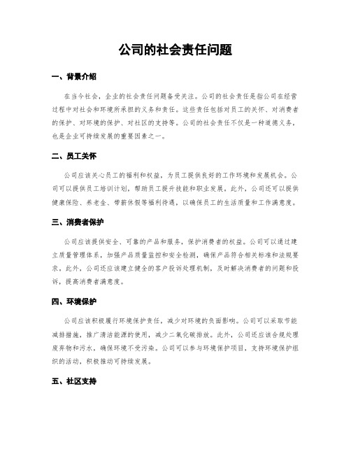 公司的社会责任问题