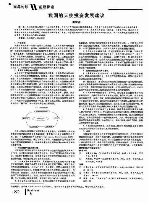 我国的天使投资发展建议