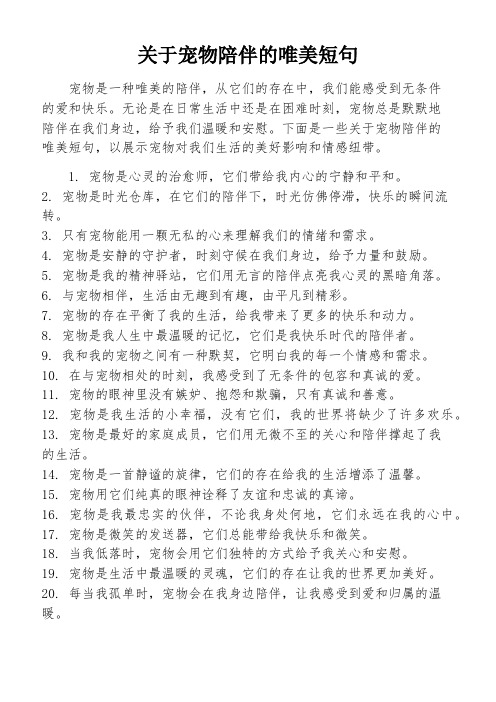 关于宠物陪伴的唯美短句