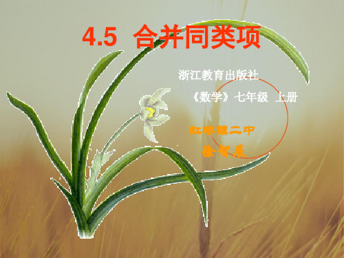 初一数学最新课件-45合并同类项(说课稿)浙教版 精品