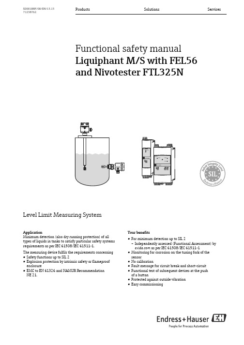 迪伦克（Endress+Hauser）流动度量器系列用户操作手册说明书