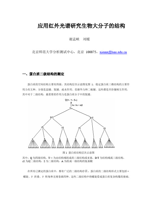 应用红外光谱研究生物大分子的结构