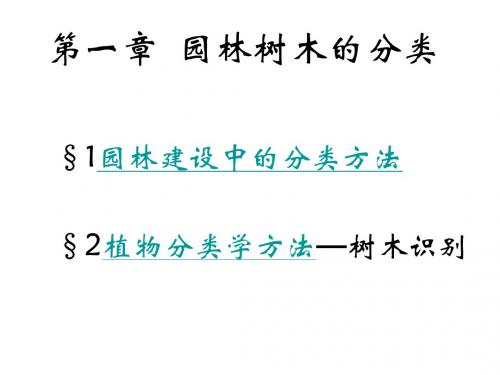 I-2园林树木分类