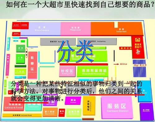 科学七年级上浙教版2.2常见的动物(第一课时)课件.