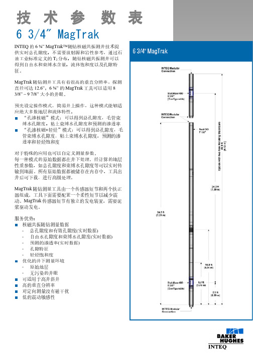 随钻核磁共振测井技术参数