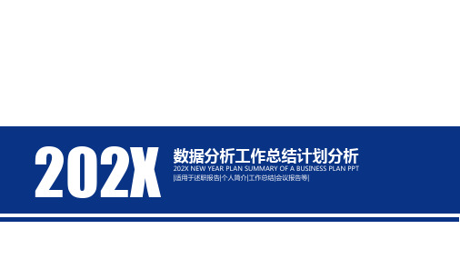 202X数据分析工作总结计划分析PPT模板