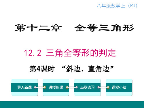 人教版八年级数学上册“斜边、直角边”